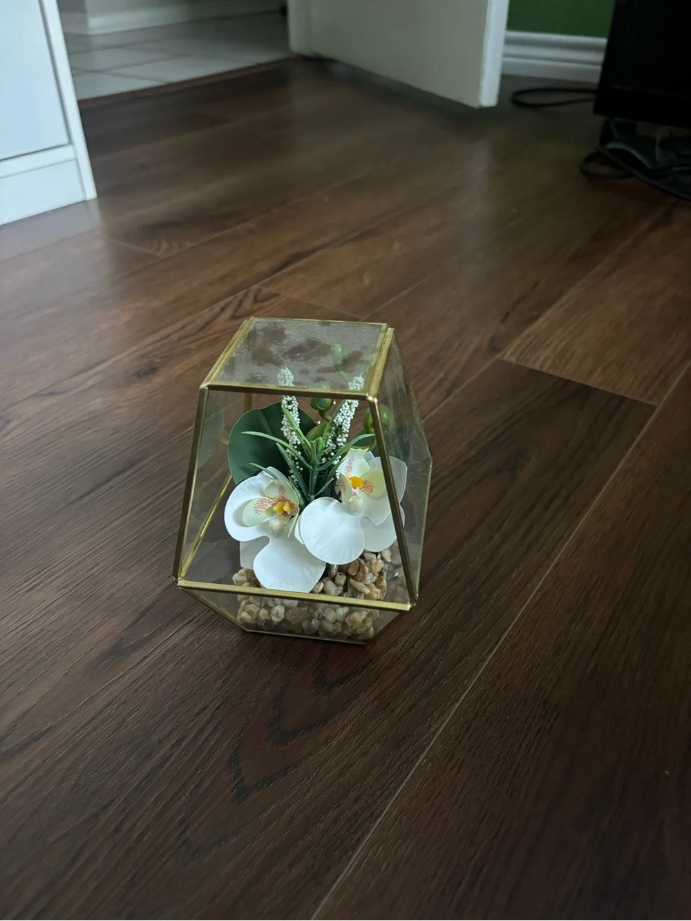 Gold Glass Geometric Terrarium with White Orchid Accent